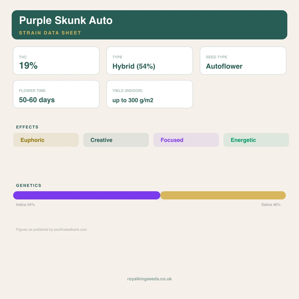Purple Skunk 54% indica / 46% sativa flower with visible trichomes