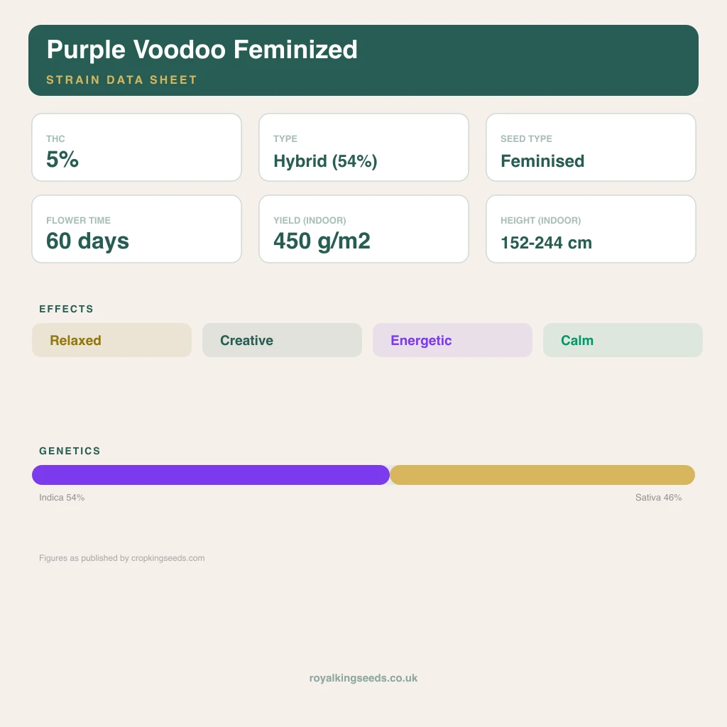 Purple Voodoo 54% indica / 46% sativa flower with visible trichomes