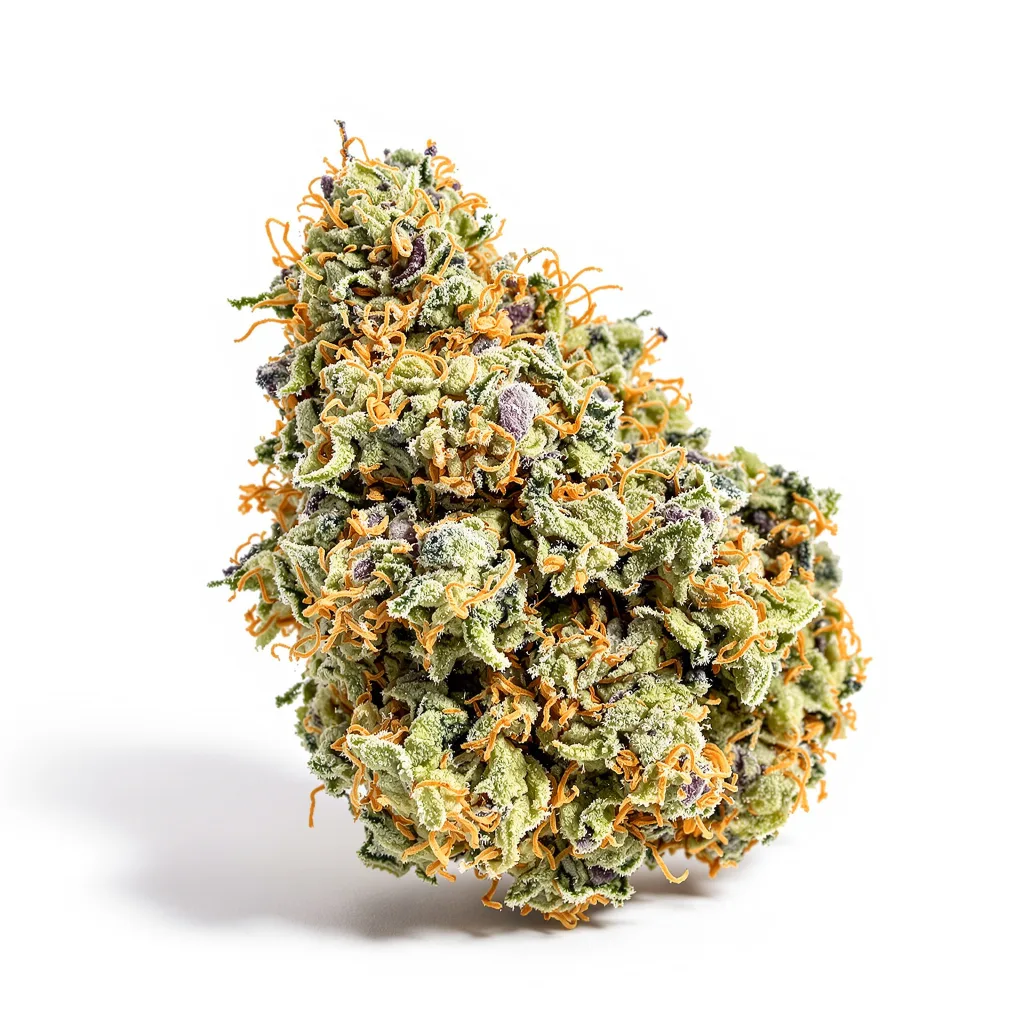 Purple Voodoo cannabis plant in flowering stage — 120-180 cm feminised