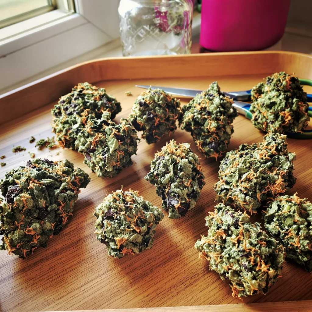 Queso 67% indica / 33% sativa flower with visible trichomes