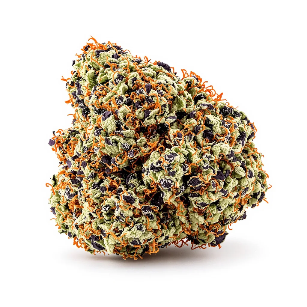 Quin-N-Tonic cannabis plant in flowering stage — 90-130 cm feminised