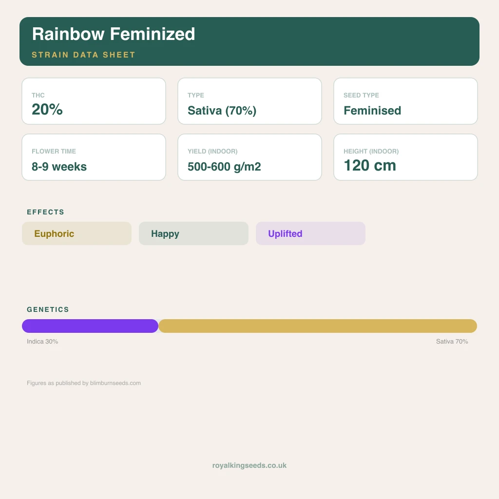 Rainbow 30% indica / 70% sativa flower with visible trichomes