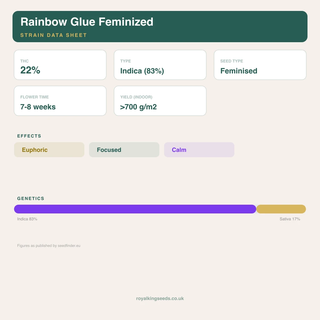 Rainbow Glue 83% indica / 17% sativa flower with visible trichomes