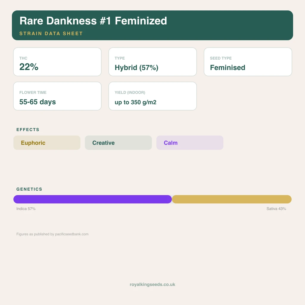 Rare Dankness #1 57% indica / 43% sativa flower with visible trichomes