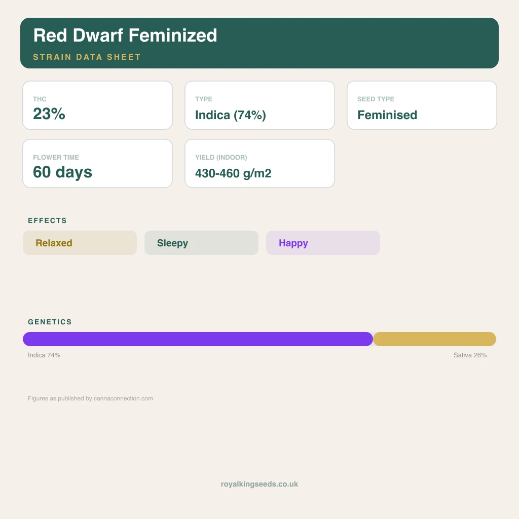 Red Dwarf 74% indica / 26% sativa flower with visible trichomes