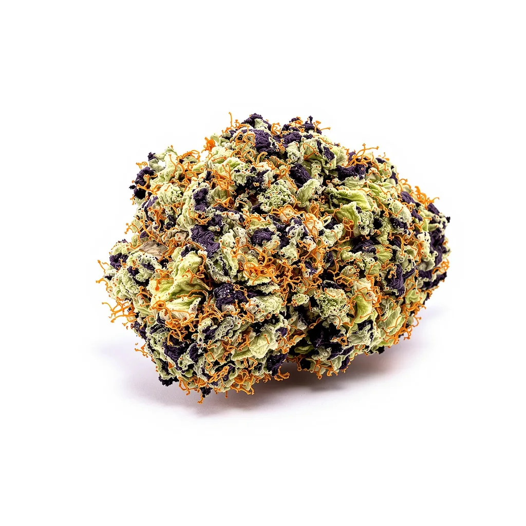 Red Dwarf cannabis plant in flowering stage — 90-130 cm feminised