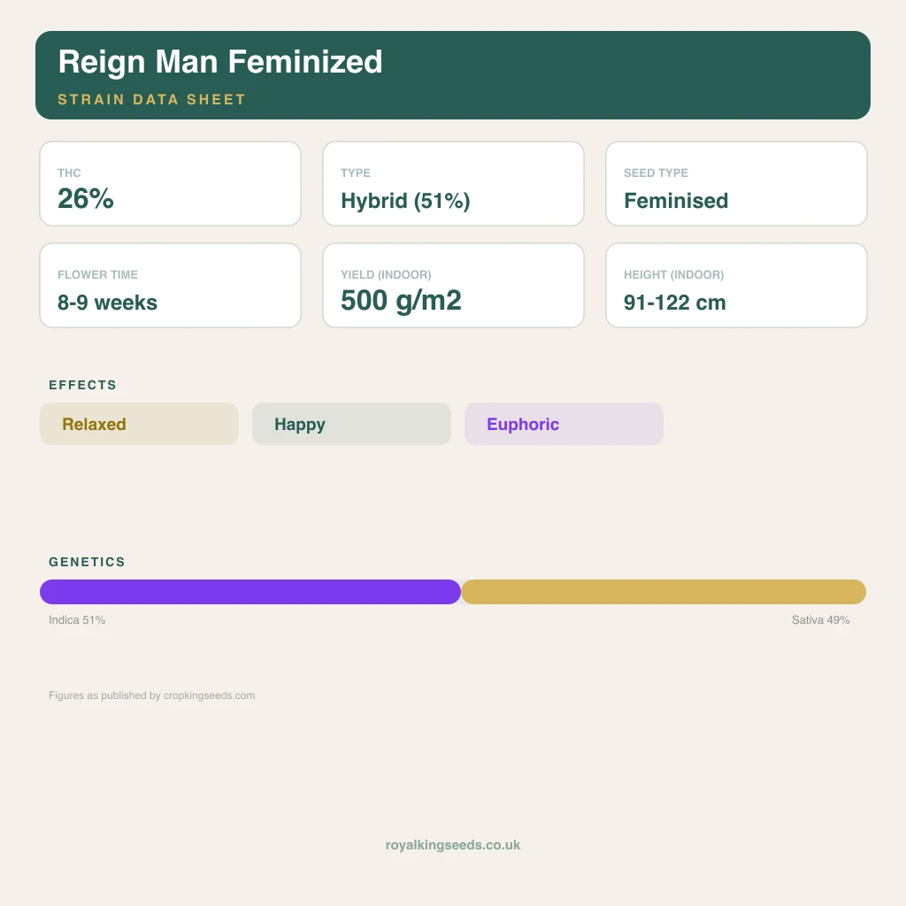 Reign Man 51% indica / 49% sativa flower with visible trichomes