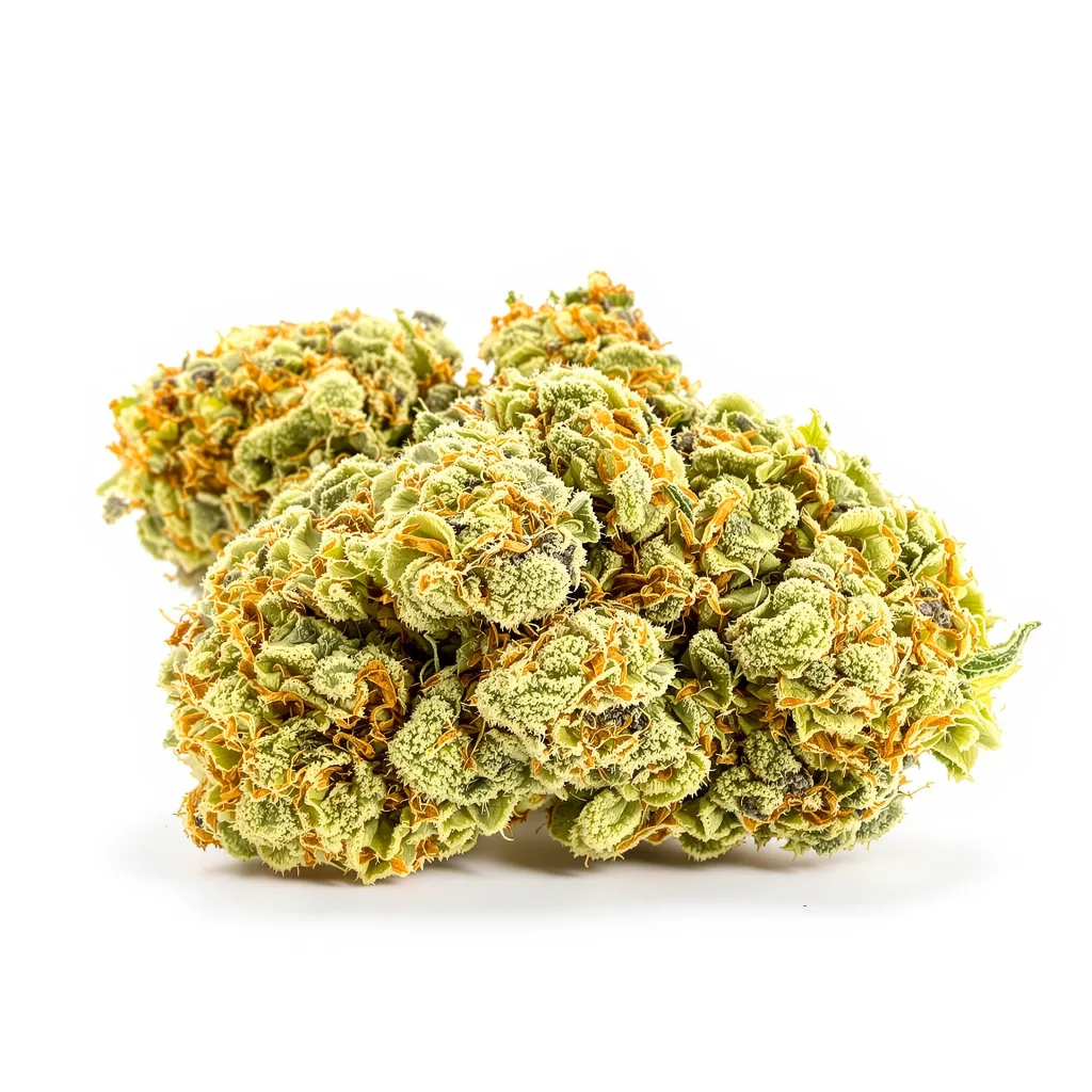 Remedy CBD cannabis plant in flowering stage — 120-180 cm feminised