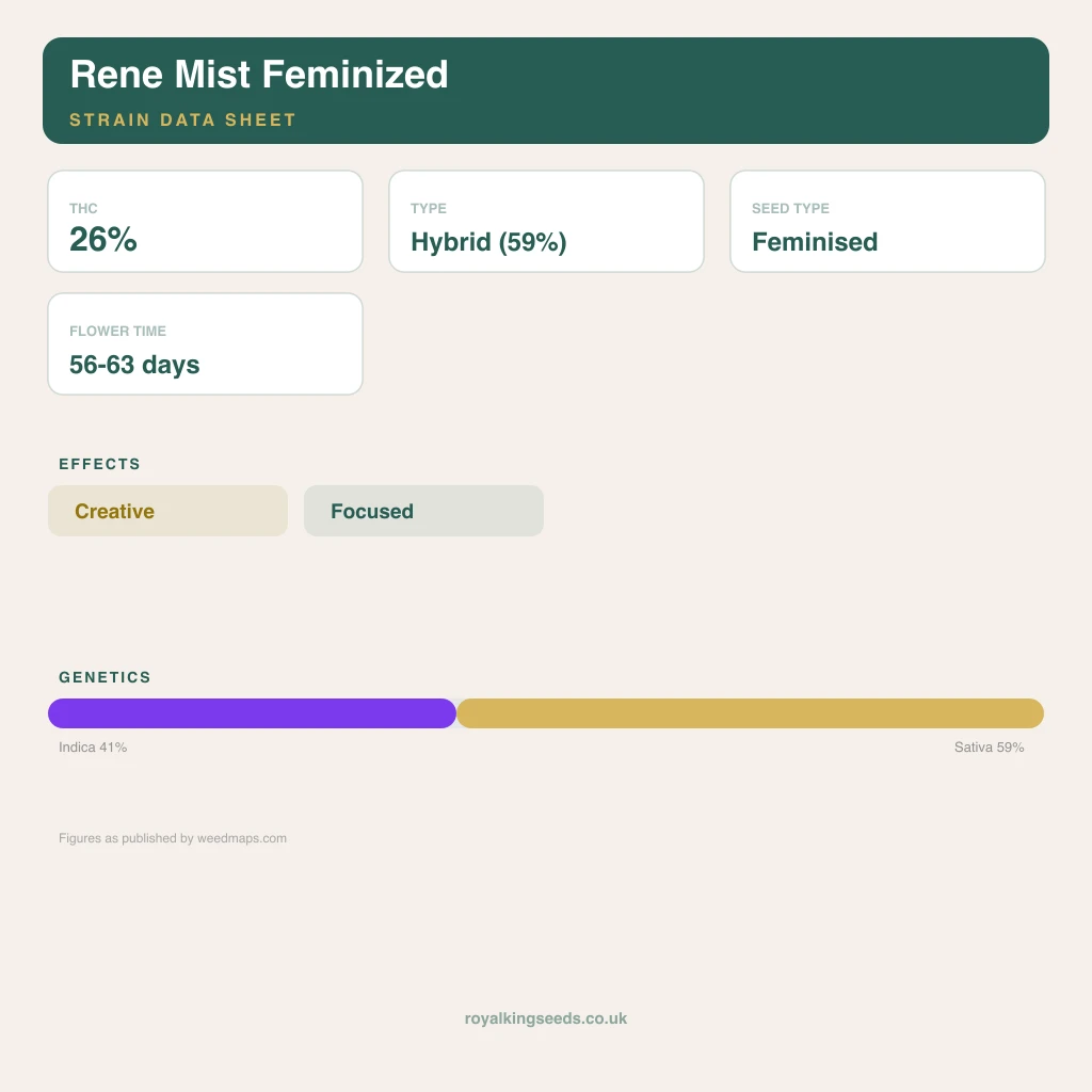 Rene Mist 41% indica / 59% sativa flower with visible trichomes