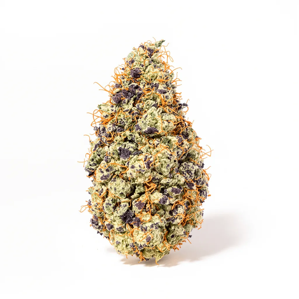 Rockstar Kush cannabis plant in flowering stage — 90-130 cm feminised