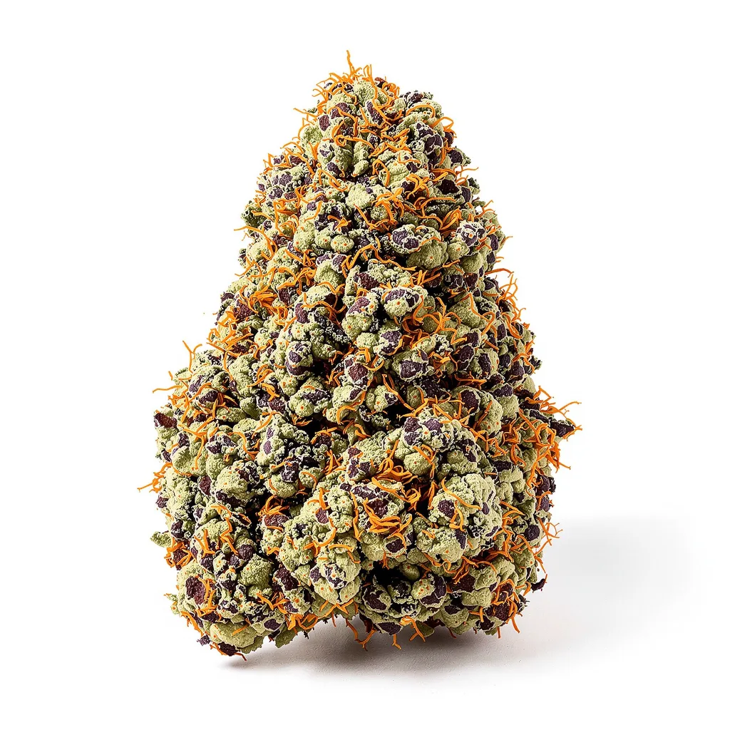 Romulan Haze cannabis plant in flowering stage — 90-130 cm feminised