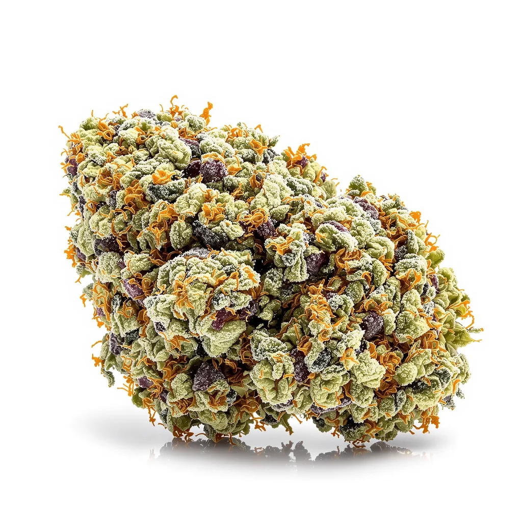 Royal Gorilla cannabis plant in flowering stage — 120-180 cm feminised