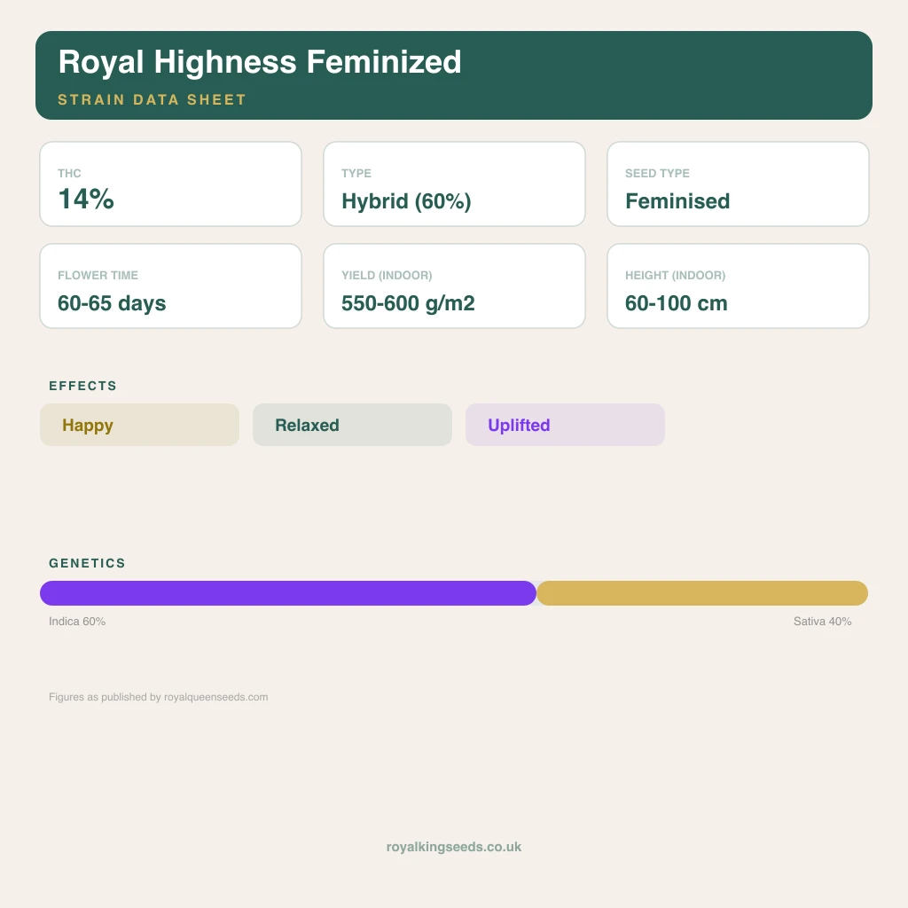 Royal Highness 60% indica / 40% sativa flower with visible trichomes