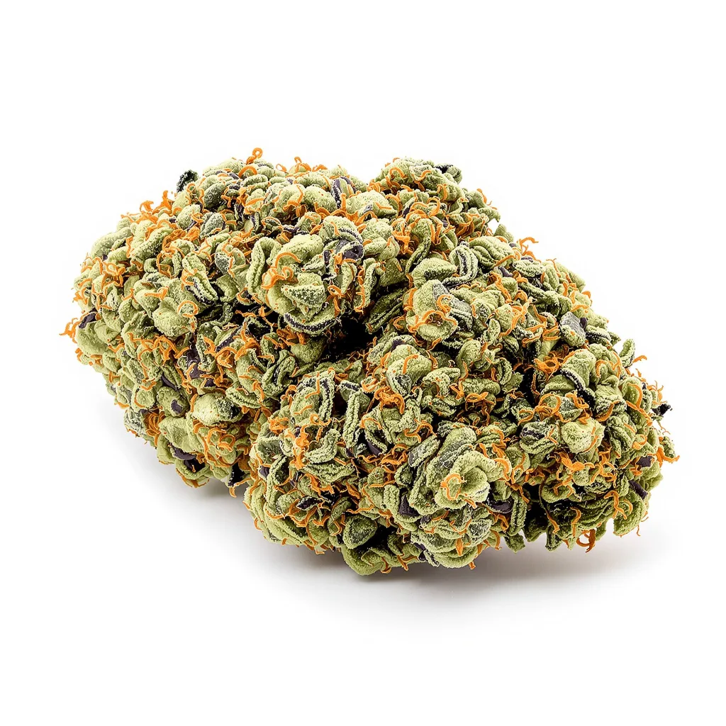 Royal Highness cannabis plant in flowering stage — 120-180 cm feminised