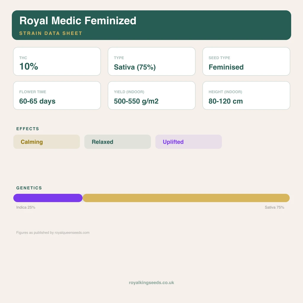 Royal Medic 25% indica / 75% sativa flower with visible trichomes