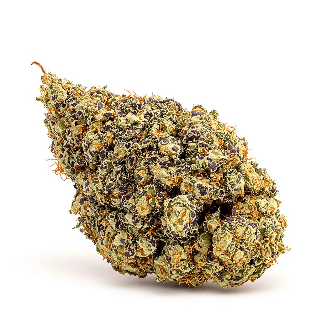Rug Burn OG cannabis plant in flowering stage — 90-130 cm feminised