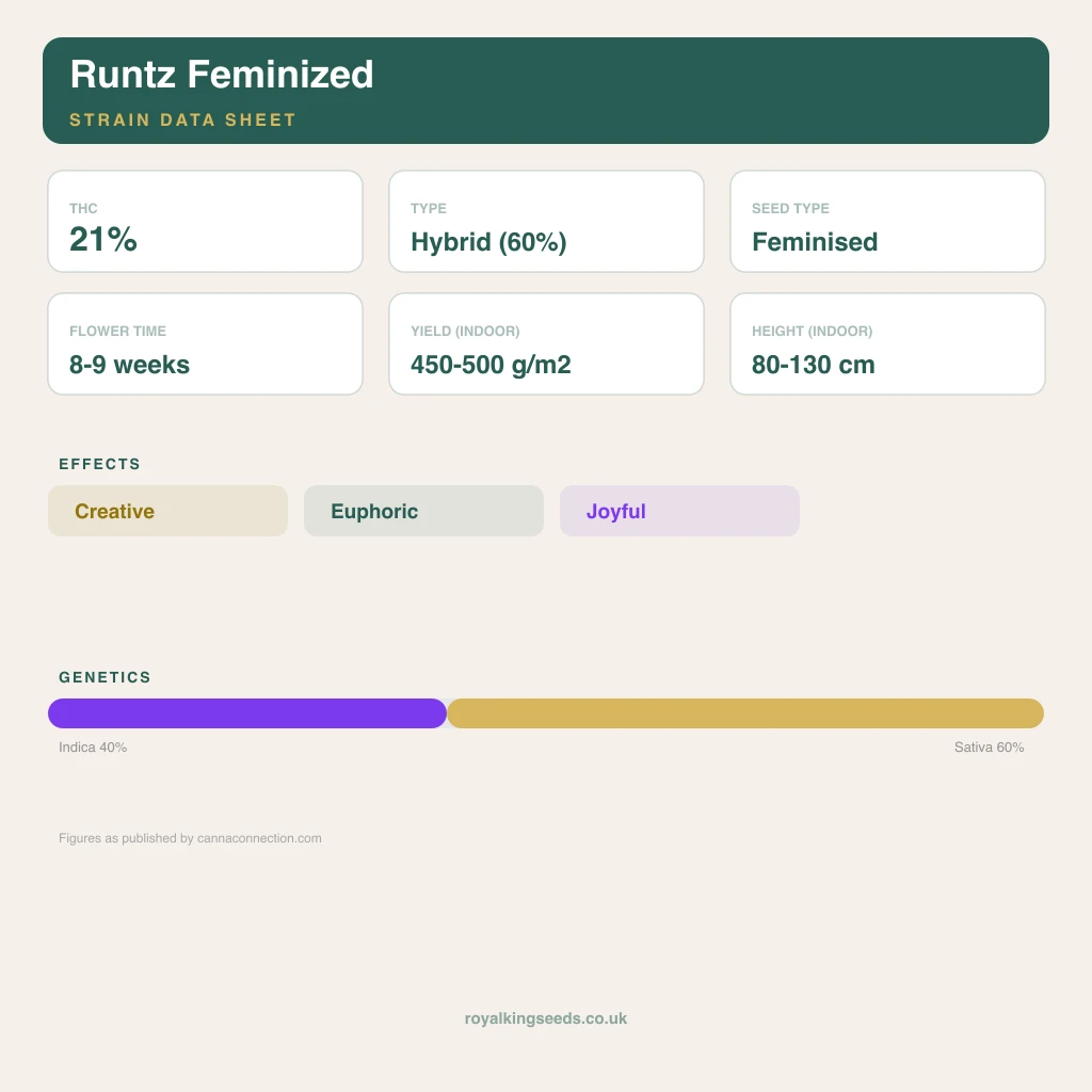 Runtz 40% indica / 60% sativa flower with visible trichomes
