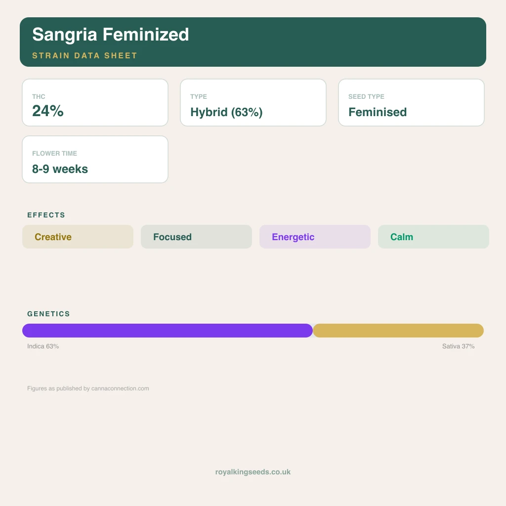 Sangria 63% indica / 37% sativa flower with visible trichomes