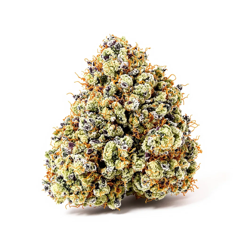 Sasquatch cannabis plant in flowering stage — 120-180 cm feminised