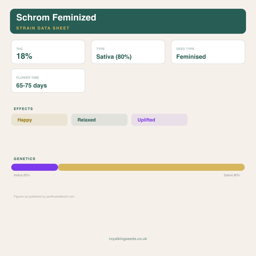 Schrom 20% indica / 80% sativa flower with visible trichomes