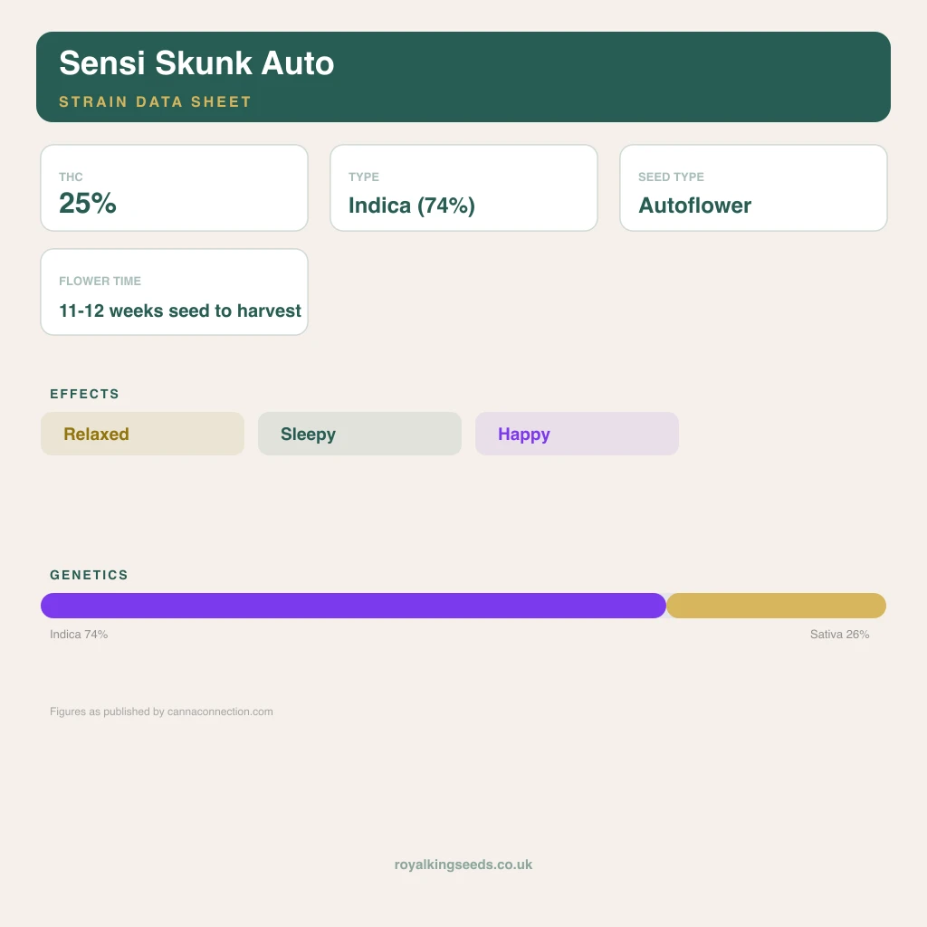 Sensi Skunk 74% indica / 26% sativa flower with visible trichomes