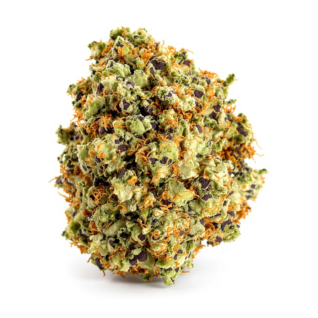 Sensi Skunk cannabis plant in flowering stage — 90-130 cm feminised