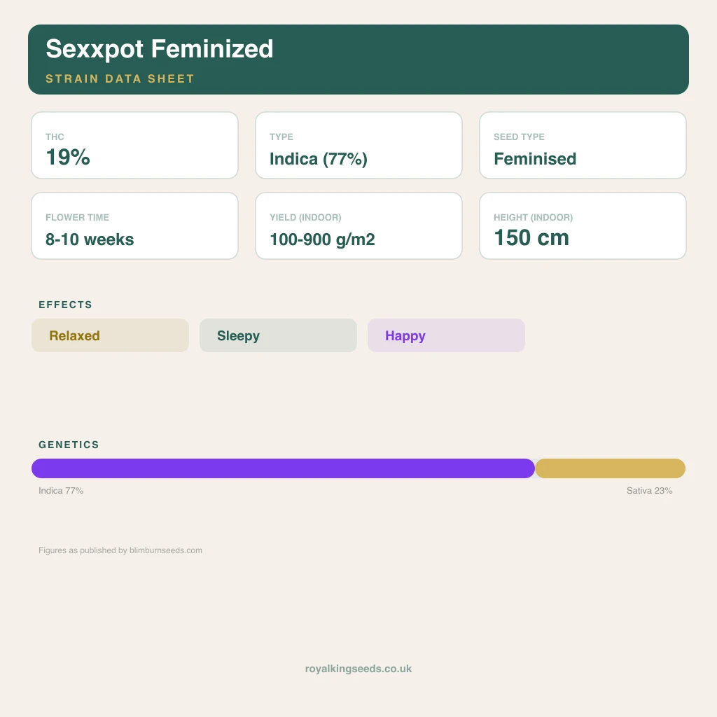 Sexxpot 77% indica / 23% sativa flower with visible trichomes