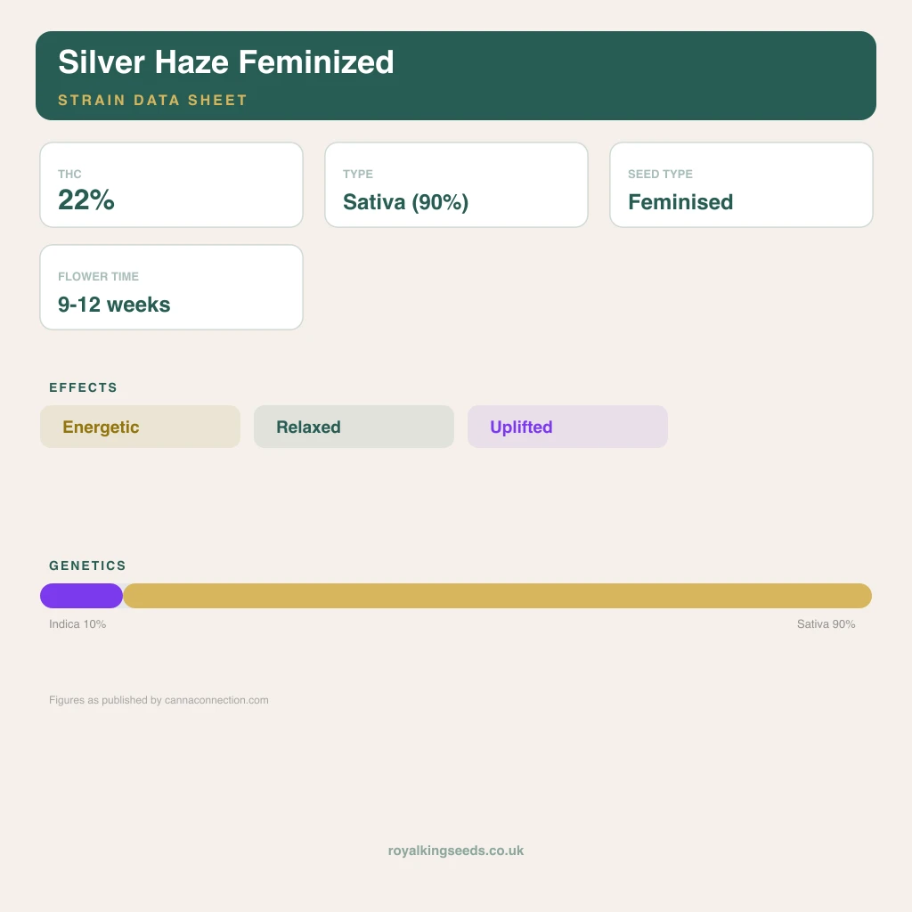 Silver Haze 10% indica / 90% sativa flower with visible trichomes