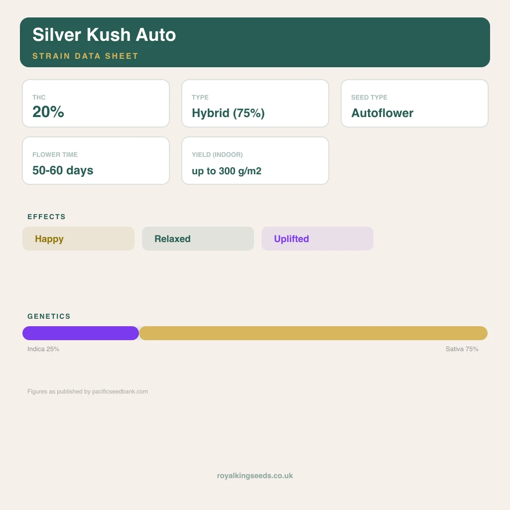 Silver Kush 25% indica / 65% sativa flower with visible trichomes