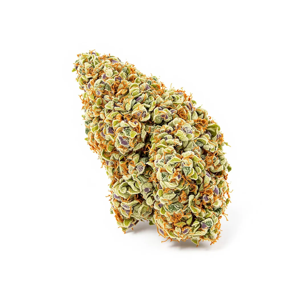 Silver Kush cannabis plant in flowering stage — 60-100 cm autoflower