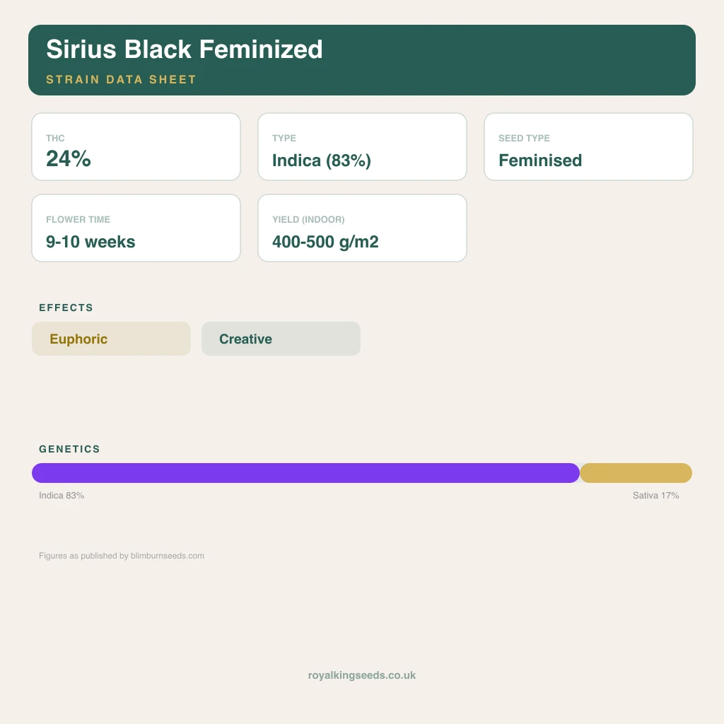 Sirius Black 83% indica / 17% sativa flower with visible trichomes