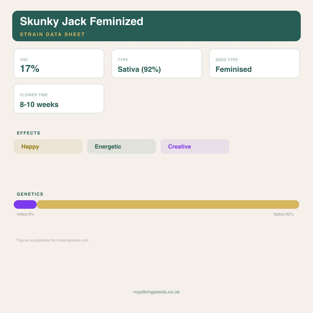 Skunky Jack 8% indica / 92% sativa flower with visible trichomes