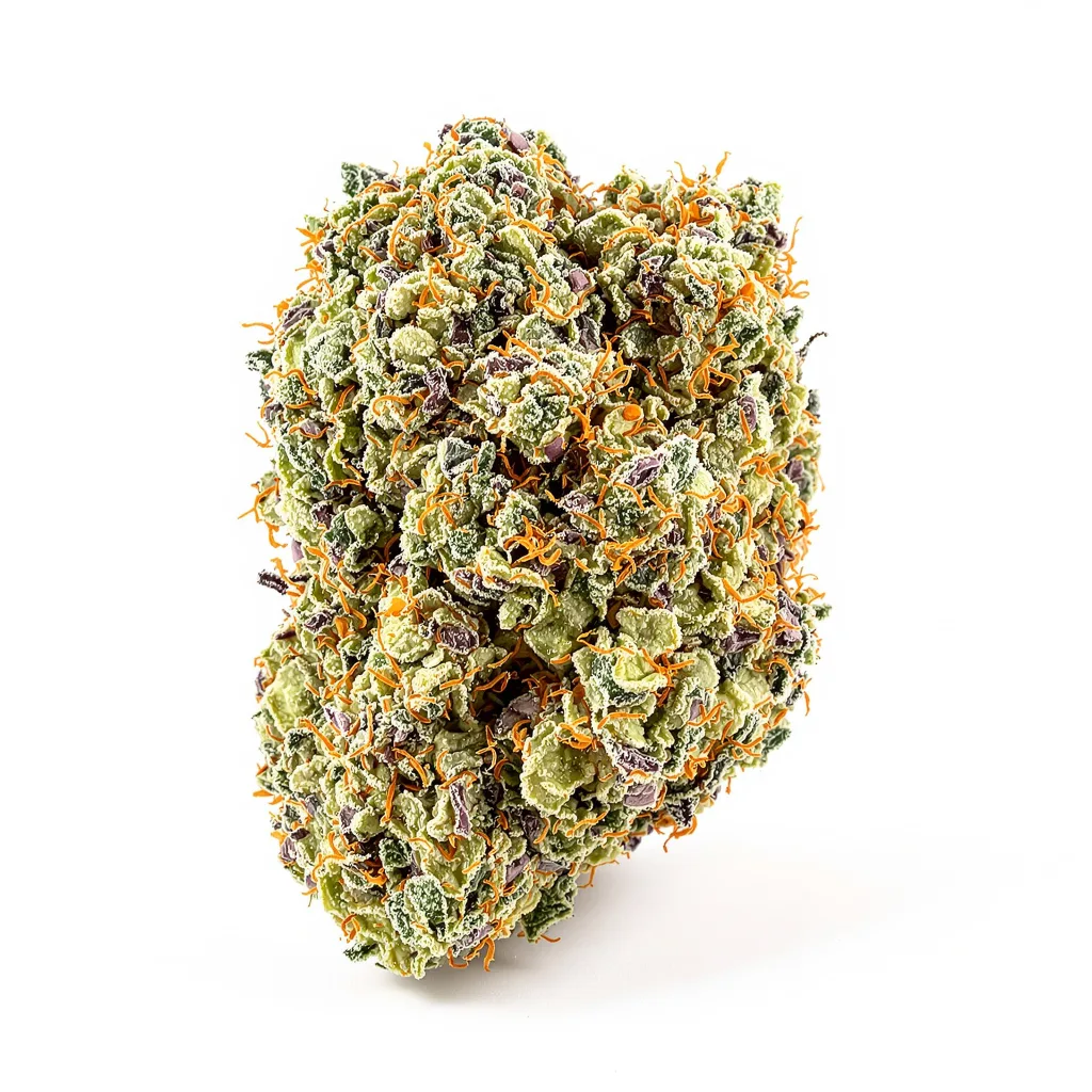 Smelliot cannabis plant in flowering stage — 60-100 cm autoflower