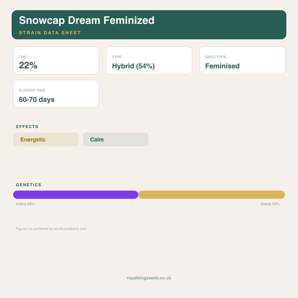 Snowcap Dream 46% indica / 54% sativa flower with visible trichomes