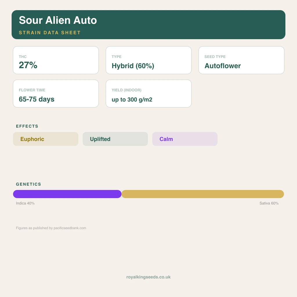 Sour Alien 40% indica / 60% sativa flower with visible trichomes