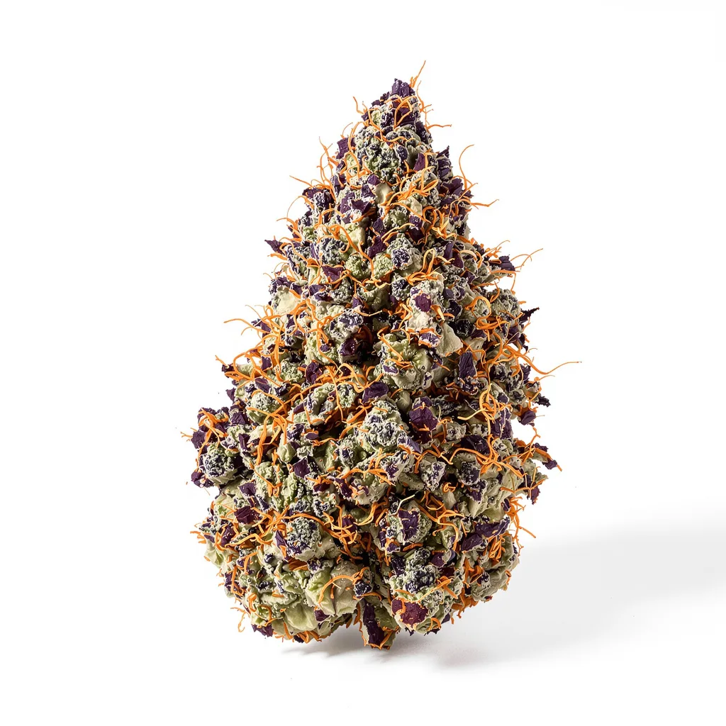 Sour Bubble cannabis plant in flowering stage — 60-100 cm autoflower
