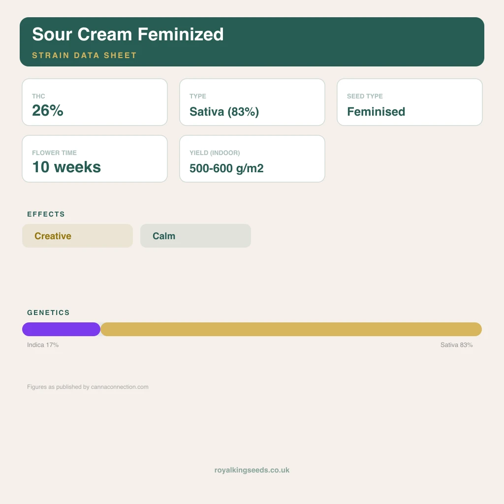 Sour Cream 17% indica / 83% sativa flower with visible trichomes