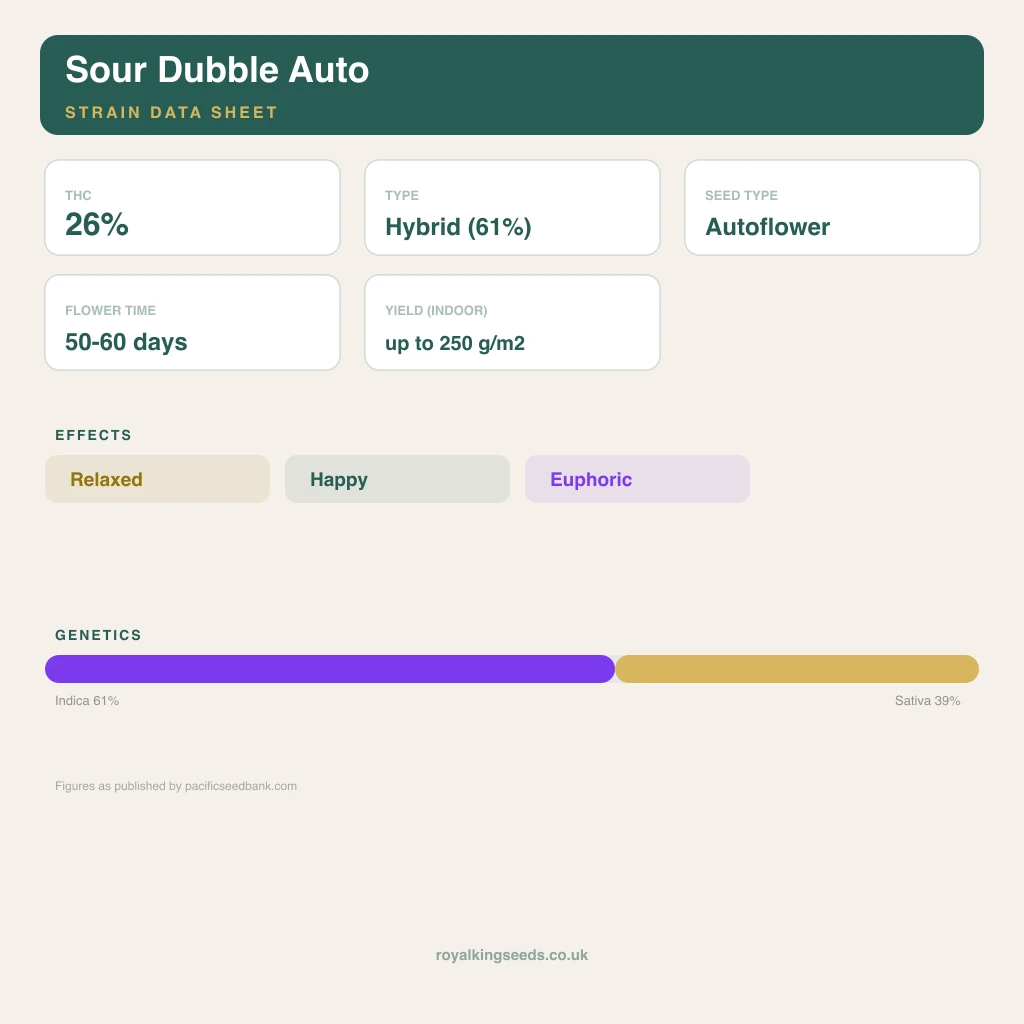 Sour Dubble 61% indica / 39% sativa flower with visible trichomes