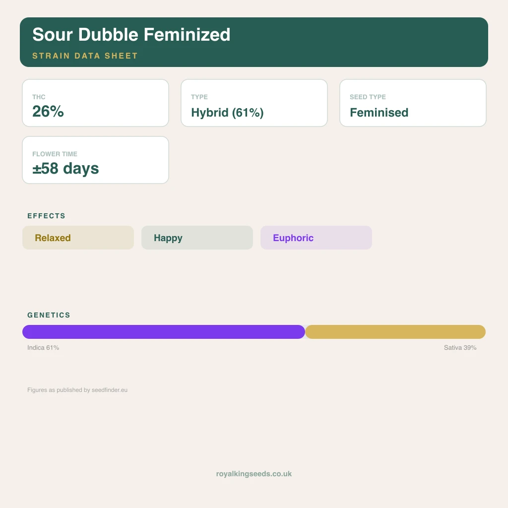 Sour Dubble 61% indica / 39% sativa flower with visible trichomes