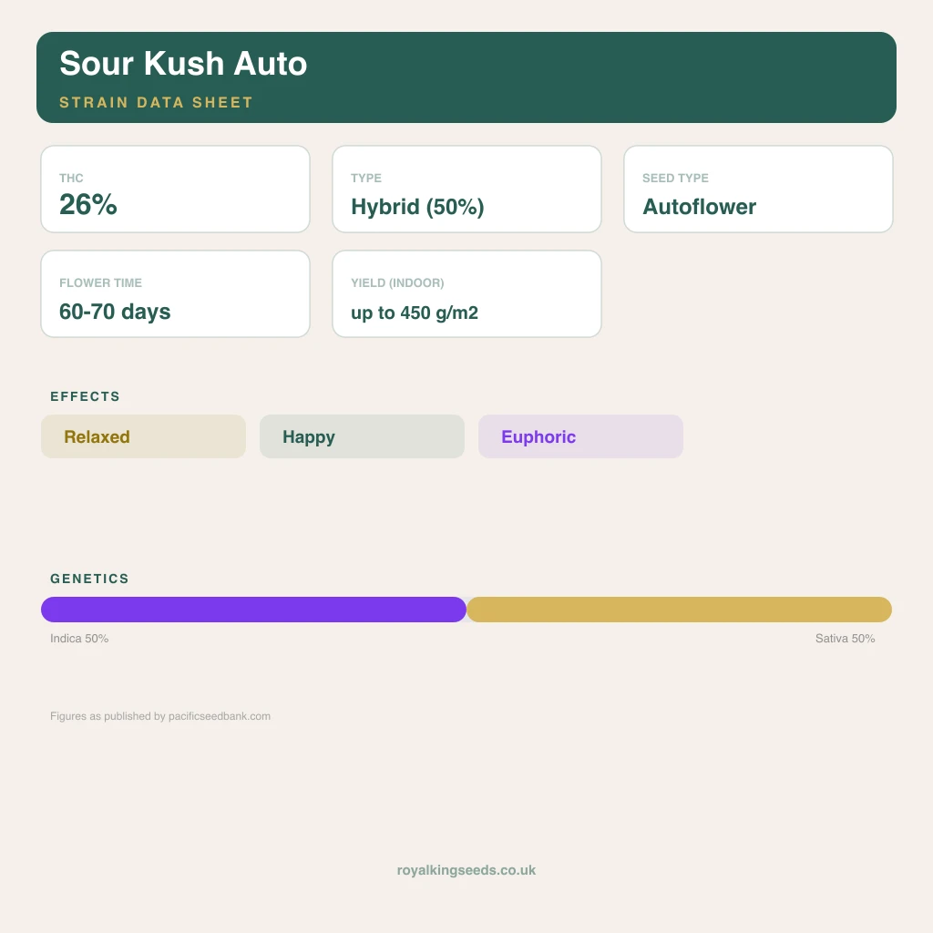 Sour Kush 50% indica / 50% sativa flower with visible trichomes