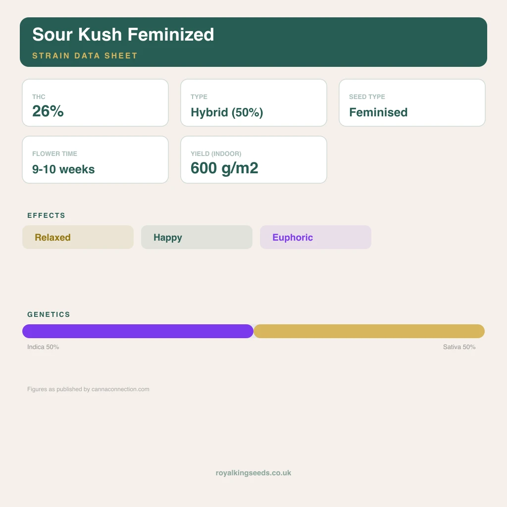 Sour Kush 50% indica / 50% sativa flower with visible trichomes