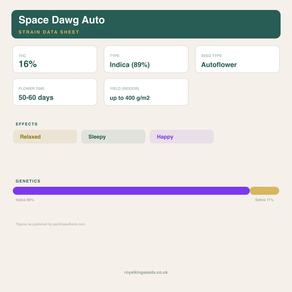 Space Dawg 89% indica / 11% sativa flower with visible trichomes