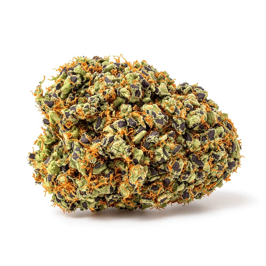 Special Kush #1 cannabis plant in flowering stage — 60-100 cm autoflower