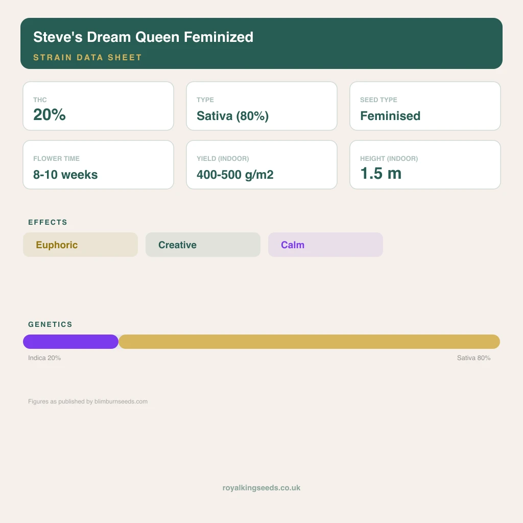 Steve's Dream Queen 20% indica / 80% sativa flower with visible trichomes