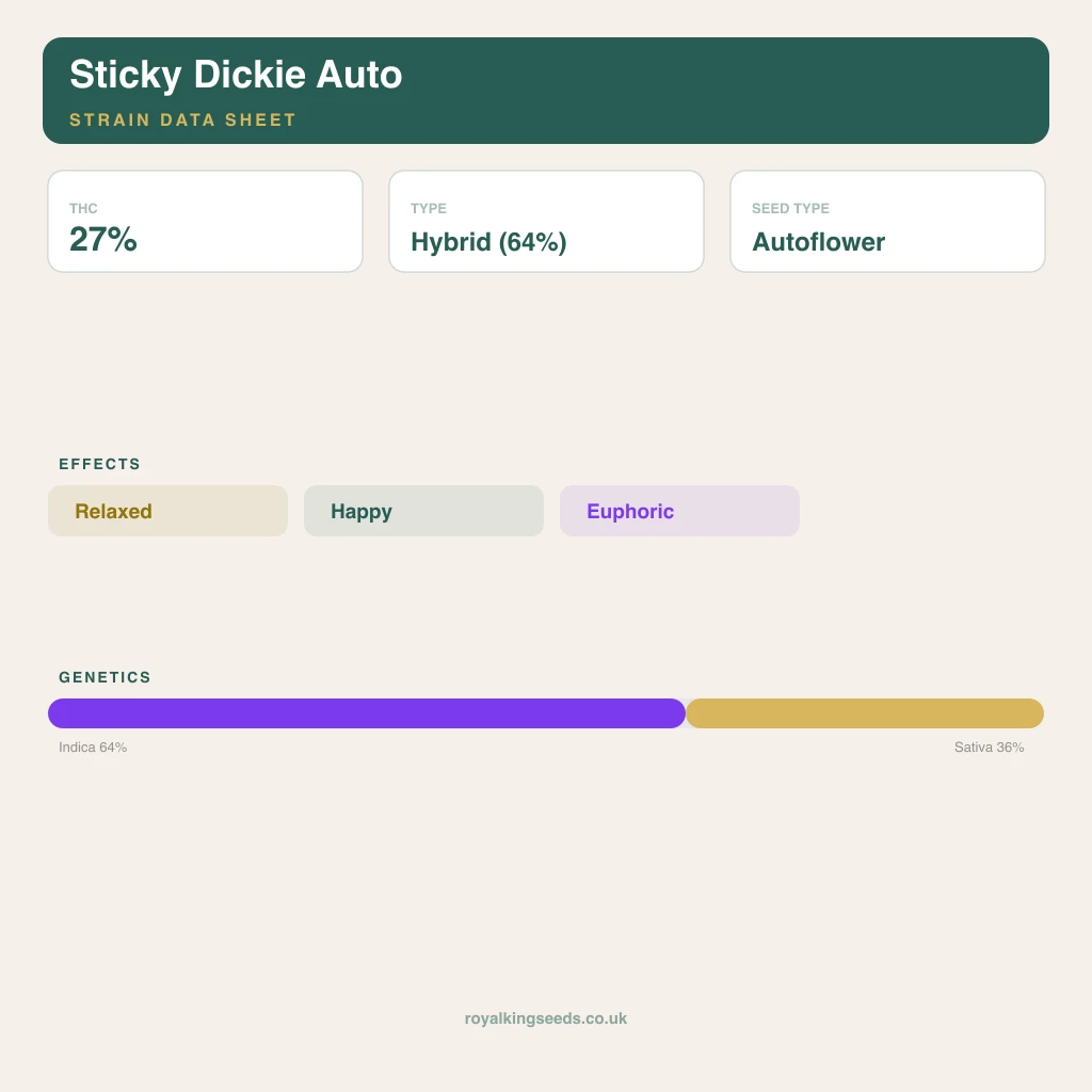 Sticky Dickie 64% indica / 36% sativa flower with visible trichomes