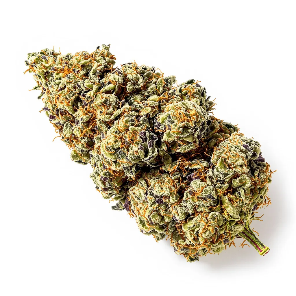Strawberry Cheese cannabis plant in flowering stage — 60-100 cm autoflower