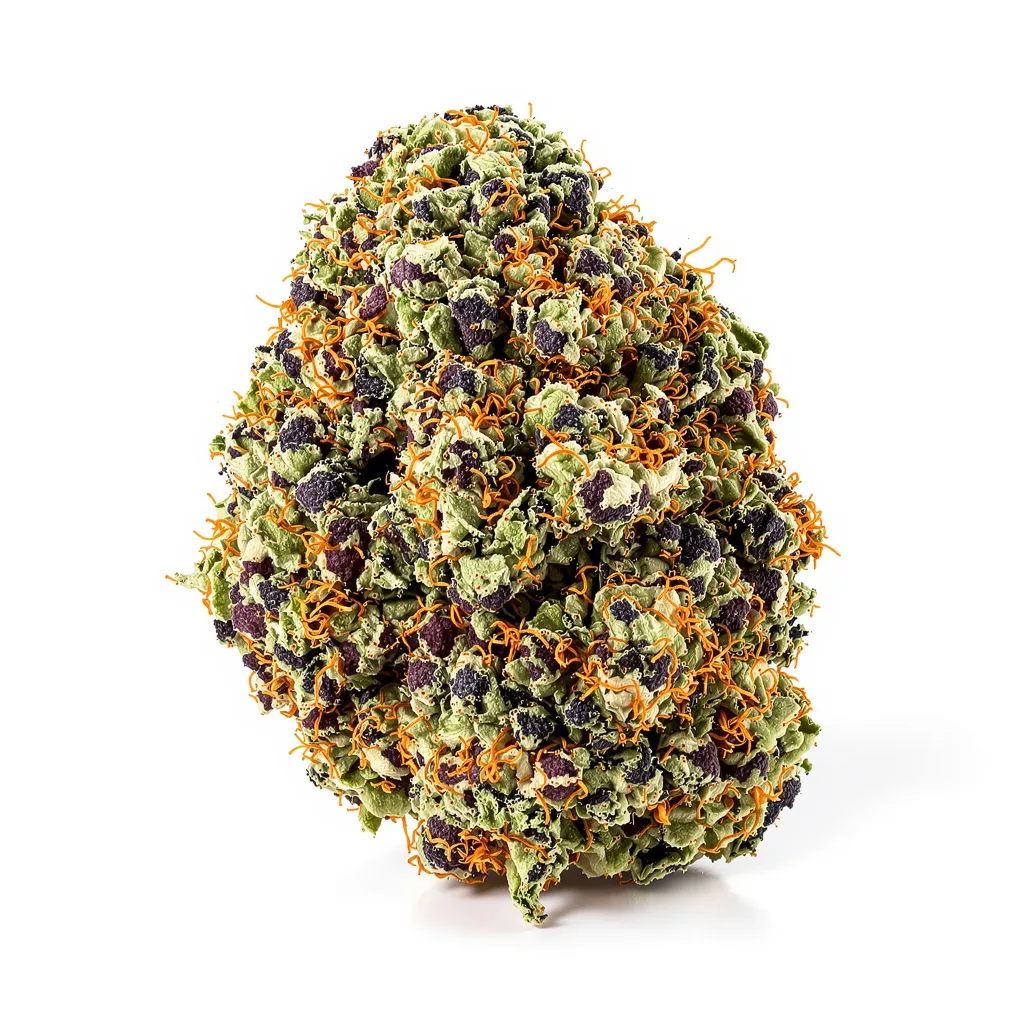 Strawberry Cheesecake cannabis plant in flowering stage — 60-100 cm autoflower