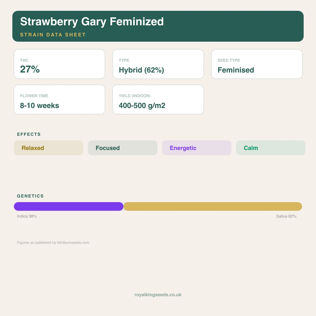 Strawberry Gary 38% indica / 62% sativa flower with visible trichomes