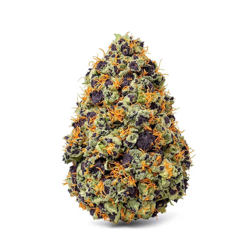 Strawberry Kush cannabis plant in flowering stage — 90-130 cm feminised