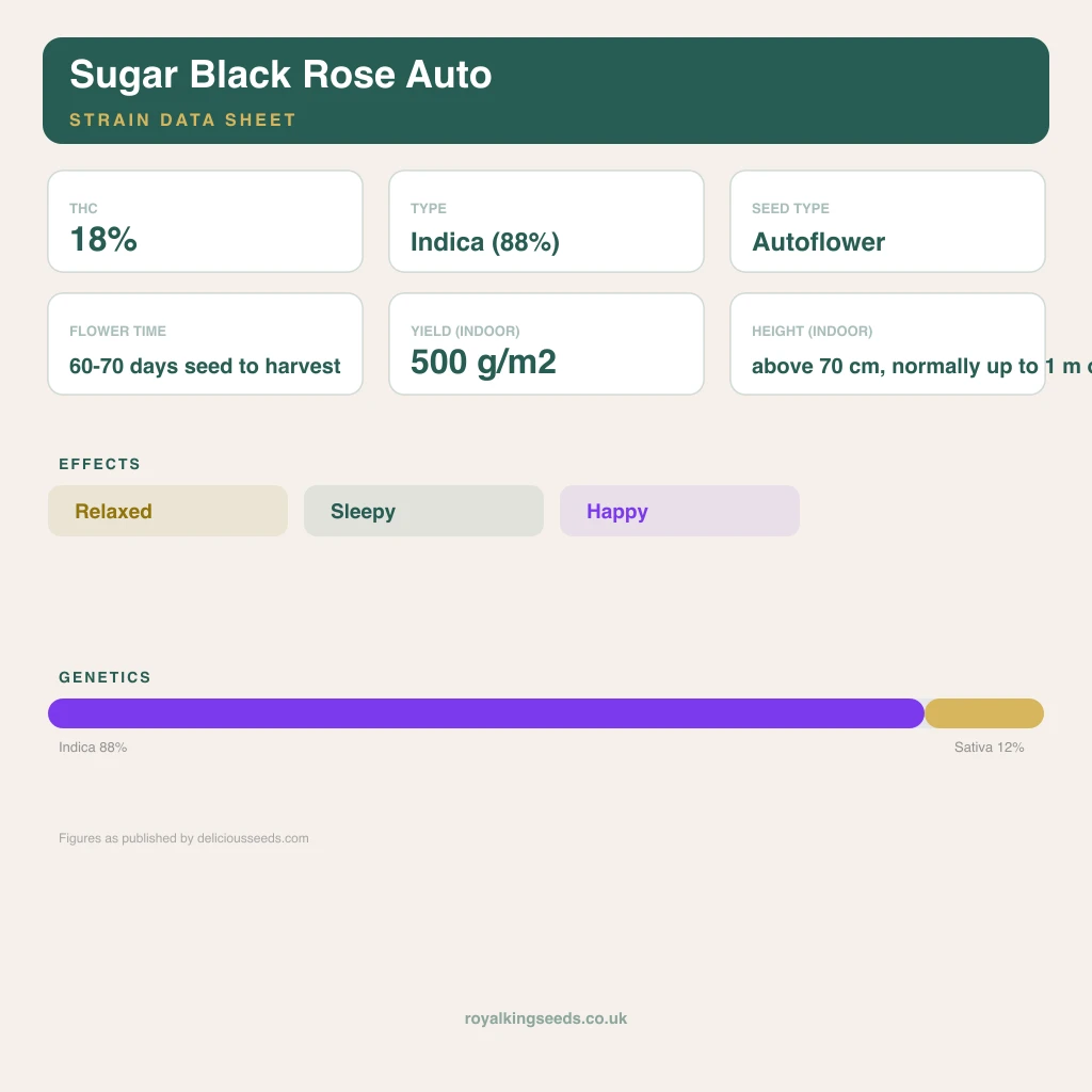 Sugar Black Rose 88% indica / 12% sativa flower with visible trichomes